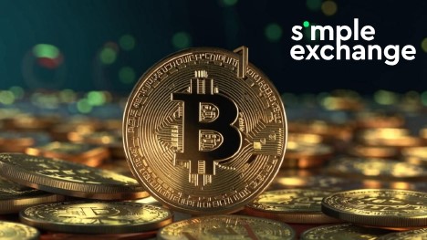 simplexchange.pro - надежный online и offline обменник SimpleExchange на mego-forum.ru