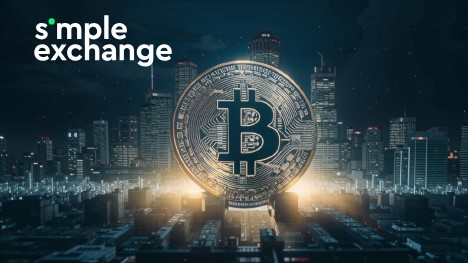 simplexchange.pro - надежный online и offline обменник SimpleExchange на mego-forum.ru